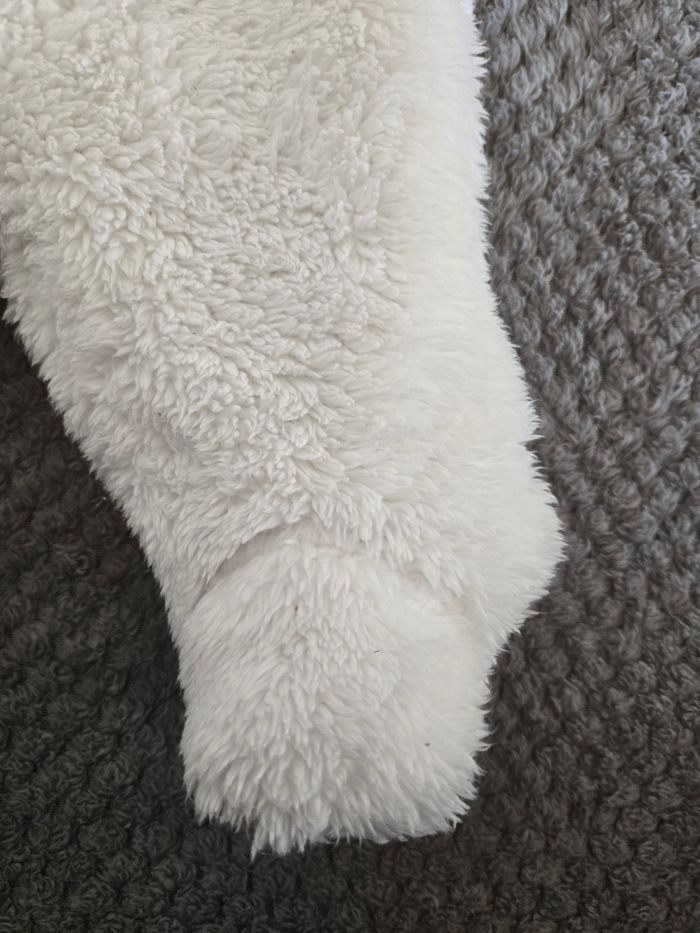 Combi pilote - photo numéro 2