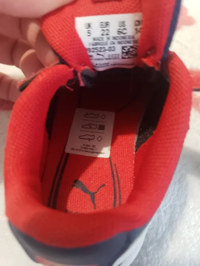 Basket - photo numéro 6