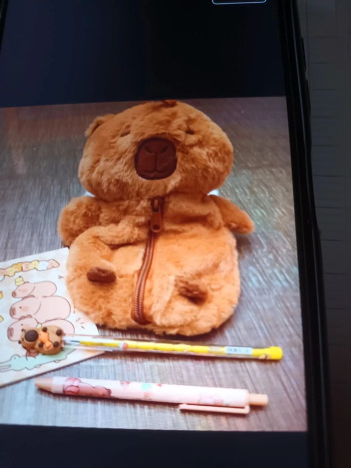 Trousse Capybara et ses accessoires - photo numéro 2