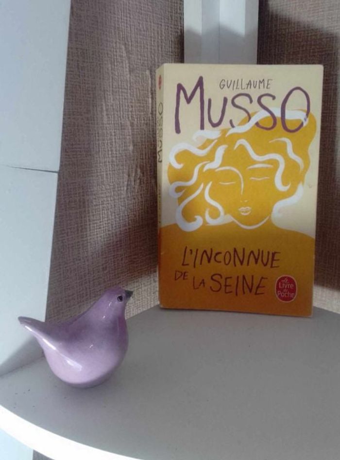 L'inconnue de la Seine de Guillaume Musso