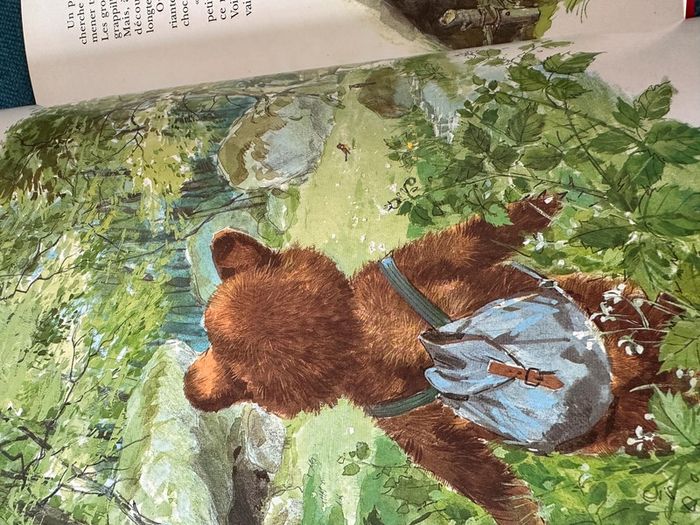 Splendide album livre Caroline et Boum Ermite relié en rouge collector Pierre Probst - photo numéro 5