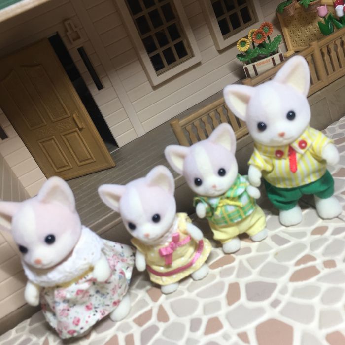 Famille chihuahuas sylvanian families - photo numéro 8