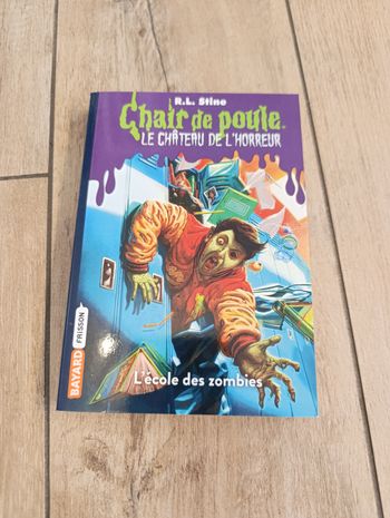 Livre chair de poule, le château de l'horreur