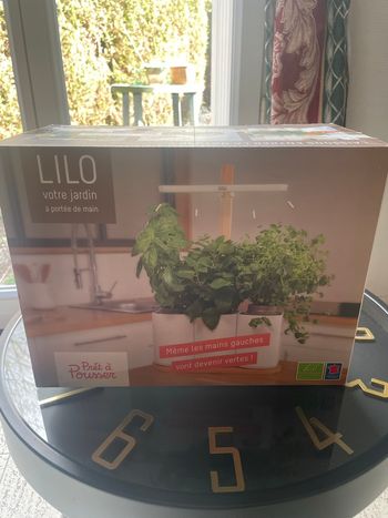 Lilo prêt à pousser 