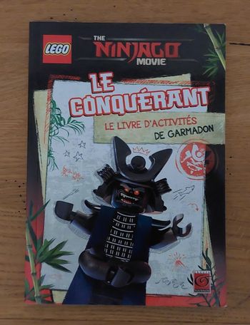 LEGO livre d'activités