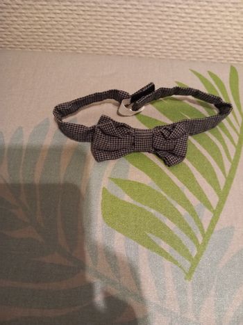 Nœud papillon