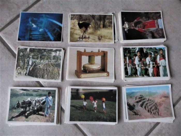 Collection de 181 images Poulain – Années 1980