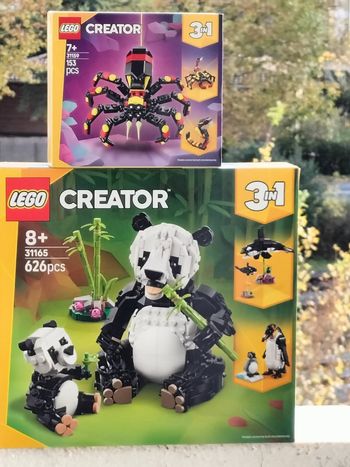 Lego creator l'araignée surprenante et la famille panda