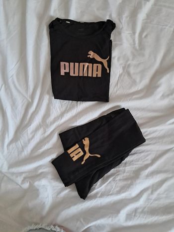 Ensemble puma