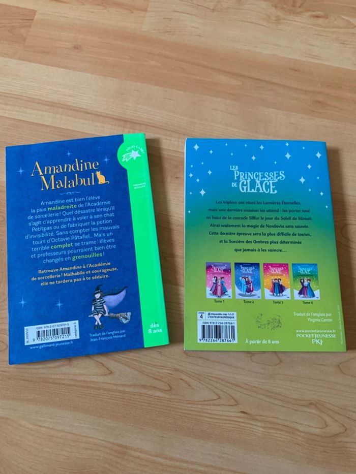 Lot de deux romans - photo numéro 2