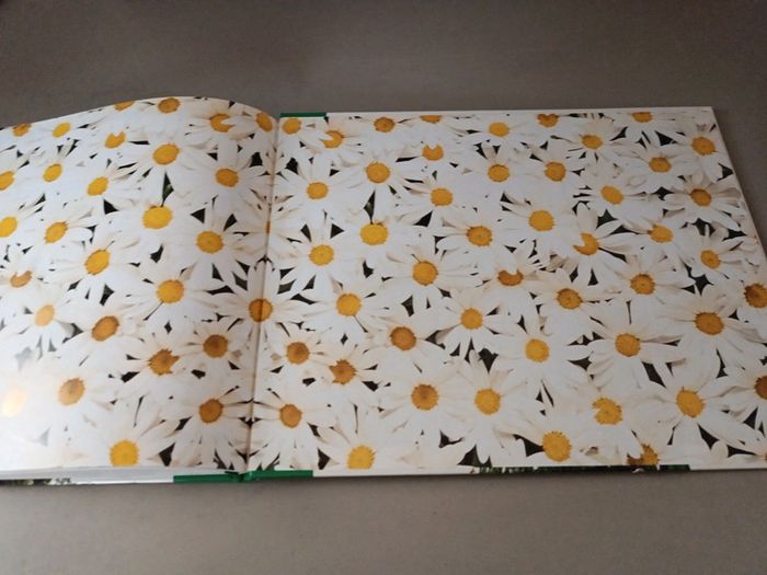 L'agenda de mon jardin - photo numéro 20