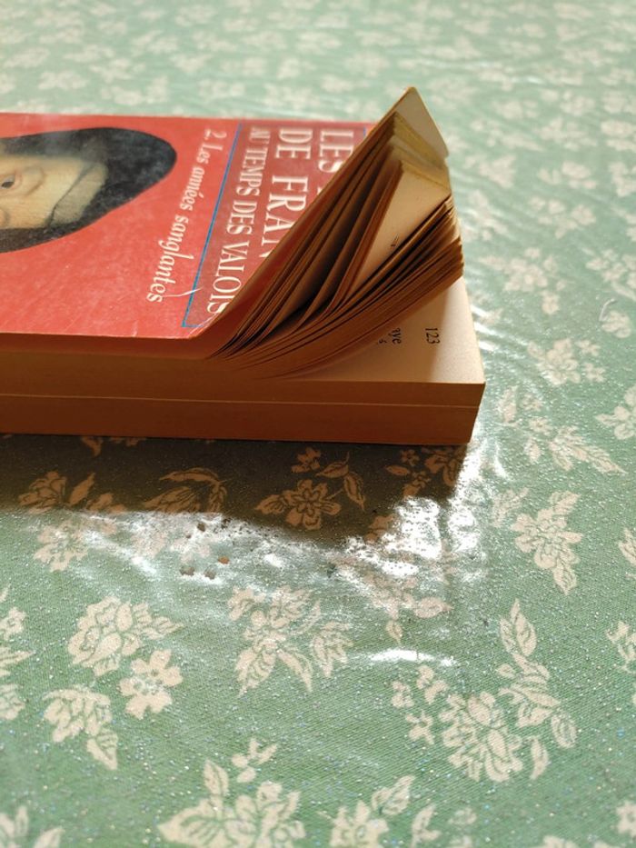 Simone bertière - photo numéro 3