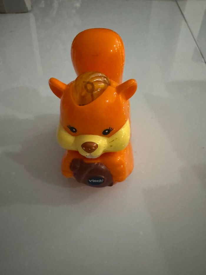 Tut tut animaux écureuil