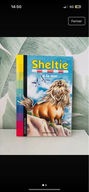 Livre sheltie 