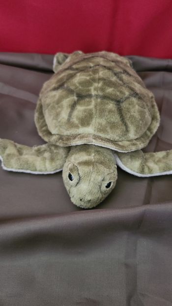 Peluche tortue verte