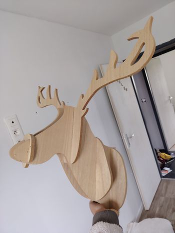 Tête cerf bois
