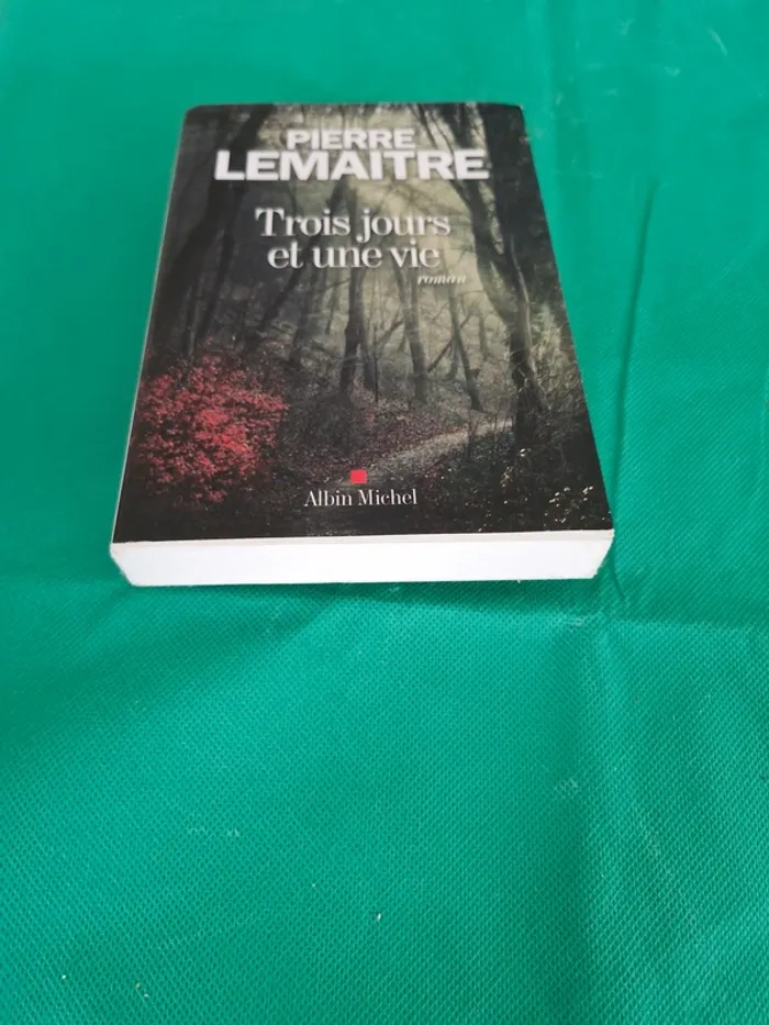 Trois jours et une vie Pierre Lemaitre - photo numéro 2