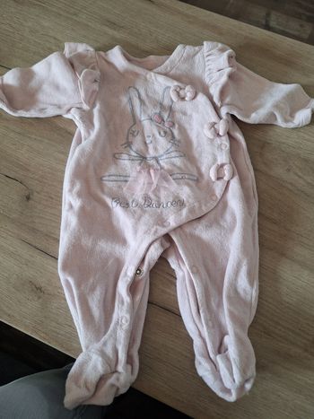 Pyjama rose 