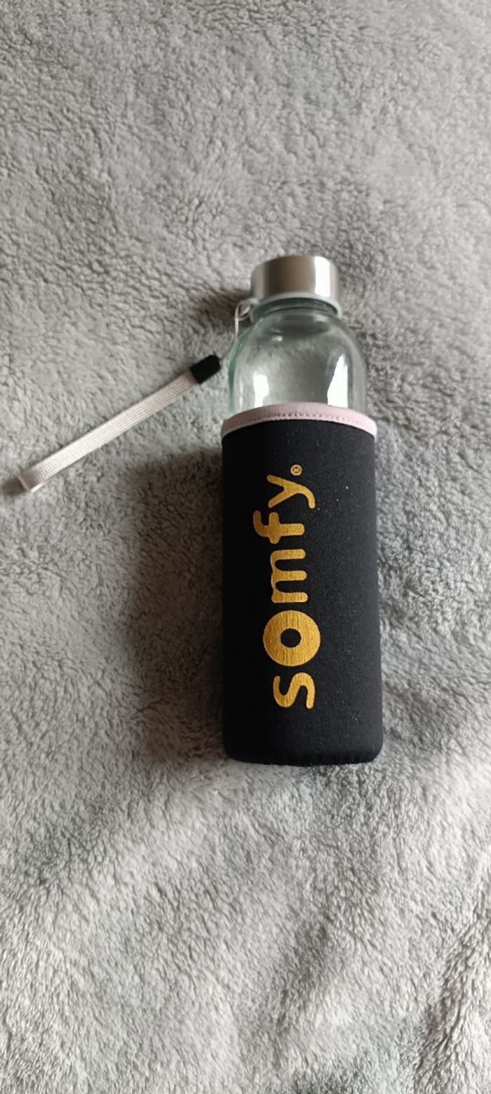 Gourde en verre SOMFY – Neuve - photo numéro 4