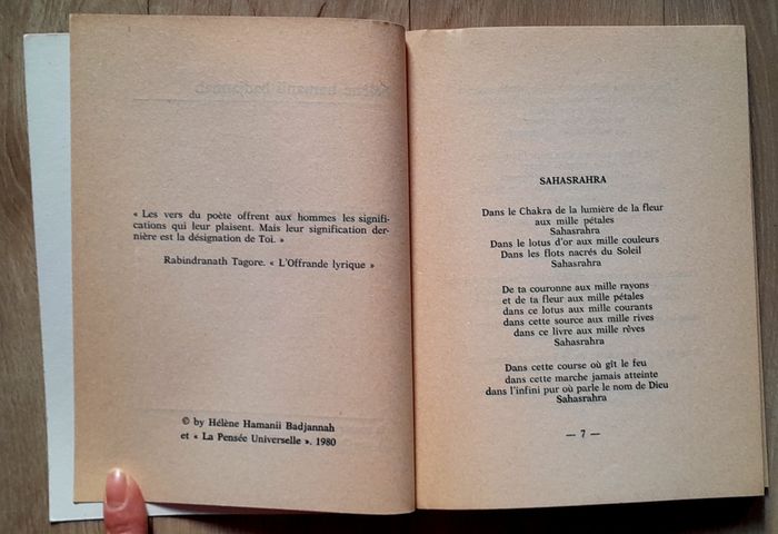 Hélène Hamanii Badjannah - Mahâvatar et la couronne de la terre - photo numéro 8