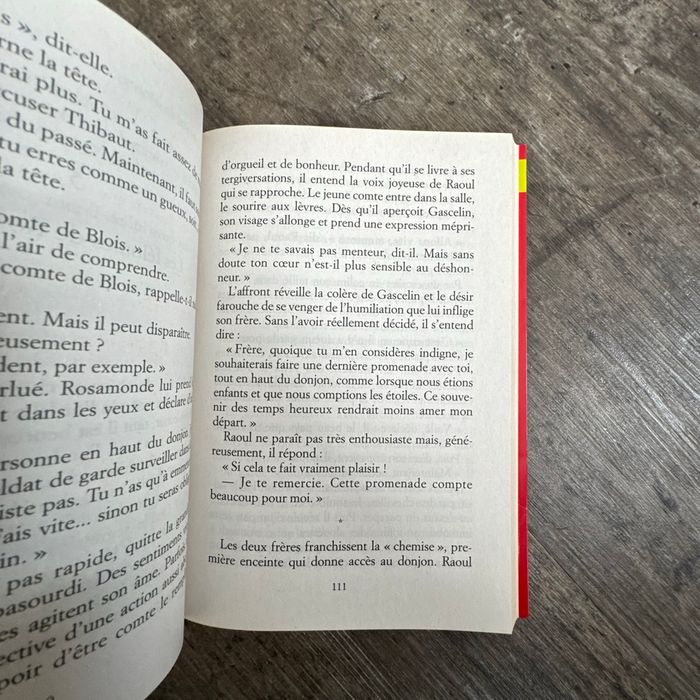 Odile Weulersse - le chevalier au bouclier vert - photo numéro 6