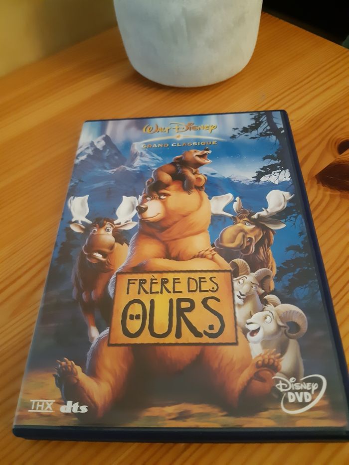DVD frère des ours