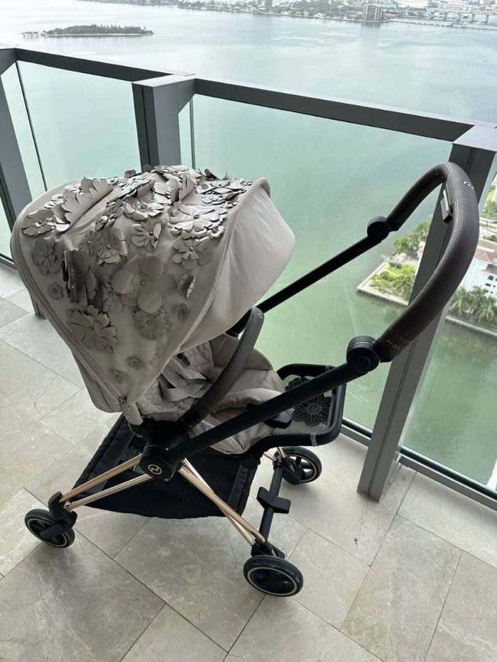 Poussette Cybex - photo numéro 4