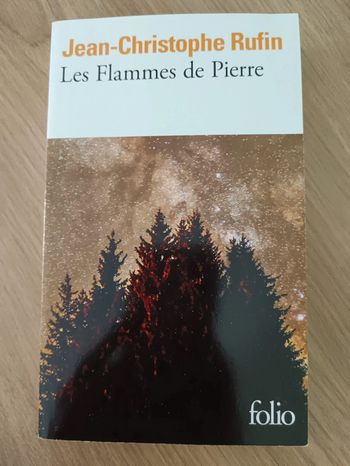 Jean-Christophe Rufin 🌸 Les flammes de Pierre