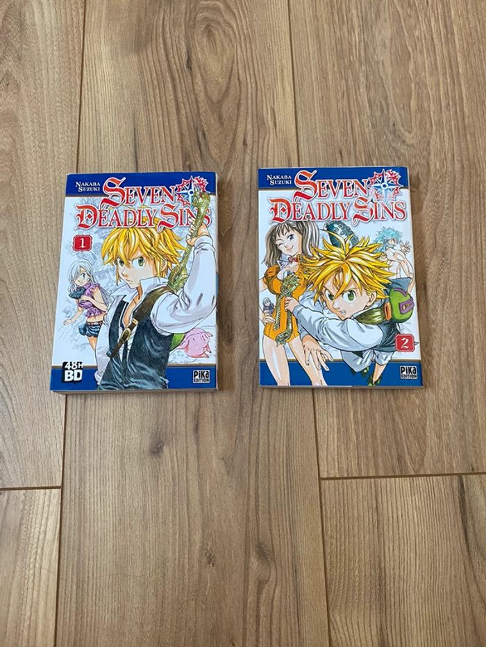 Livre Mangas