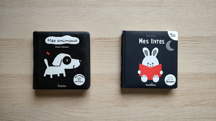 Lot de 2 livres Noir & blanc