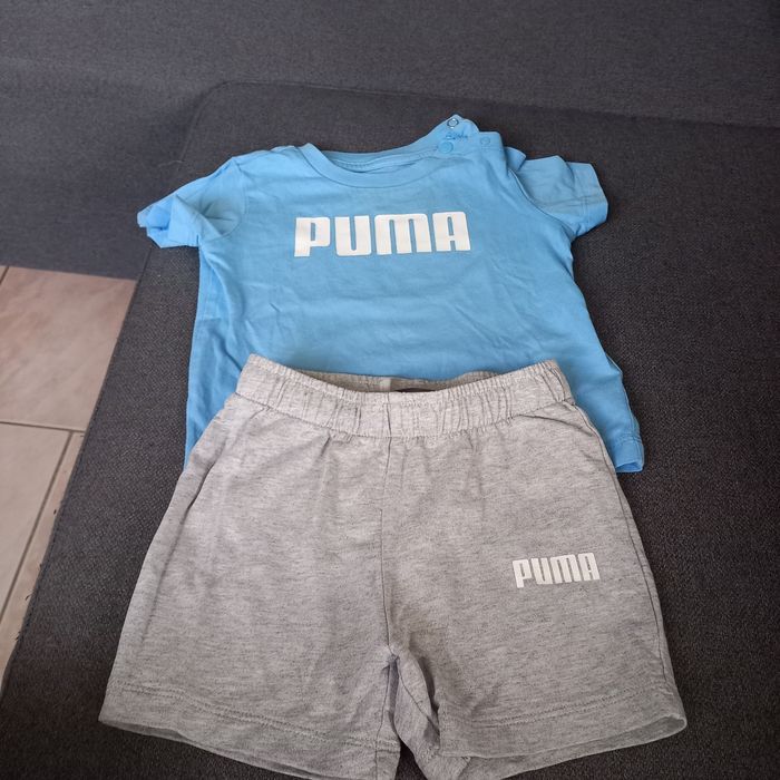Ensemble puma