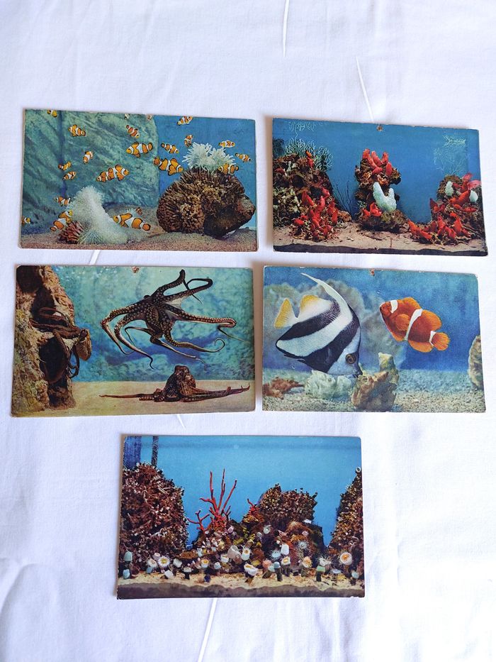 Lot 5 Cartes postales anciennes CPA Aquarium de Monaco