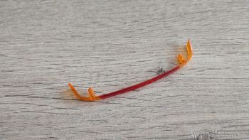 Feux arrière pièce détachée miniature 1/18 Porsche 911 speedster 1989 Maisto #B44