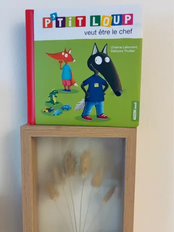 📚 Livre P’tit Loup veut être le chef – Cartonné et plastifié