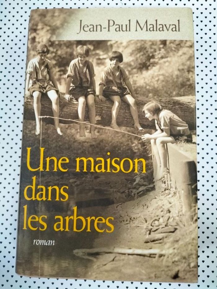 Livre Jean Paul Malaval