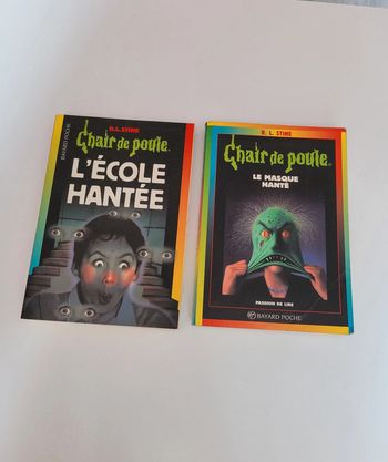 📚Lot 2 livres Chair de poule 📚