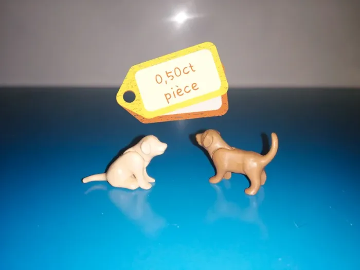 Thème* animaux / chien - chiot - photo numéro 7