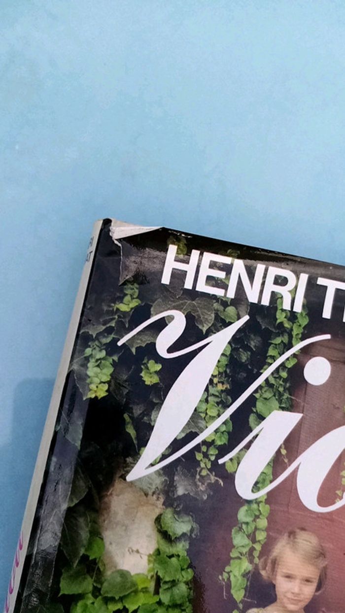 Viou academie française - photo numéro 2