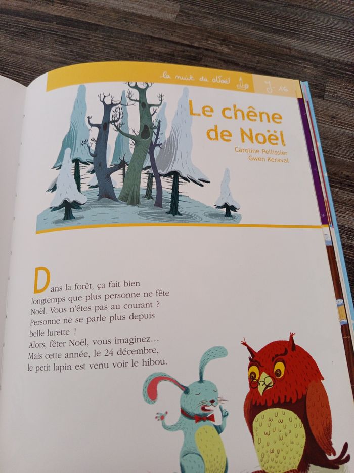Livre de Noël - photo numéro 4