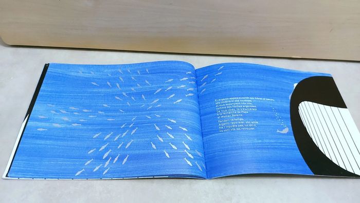 🌺 Livre (école des loisirs) : Argento le petit poisson - photo numéro 3