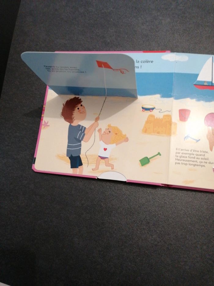 Livre à volets à soulever, languette à tirer - photo numéro 4