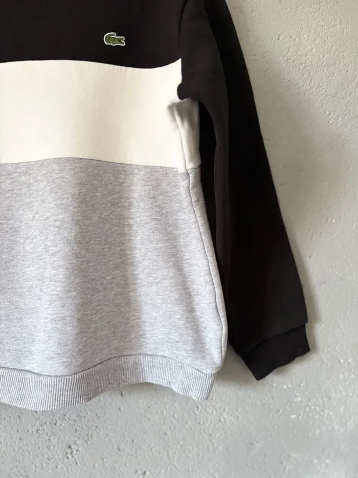 Sweat-shirt Lacoste 10ans 🚗 - photo numéro 4