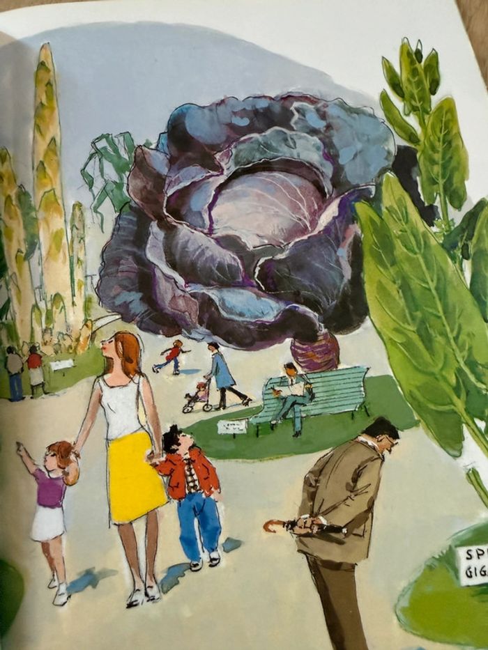 Caroline et le potager ensorcelé livre bd album de collection rare jolis dessins - photo numéro 4