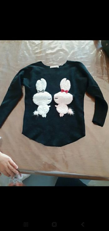 Pull lapin