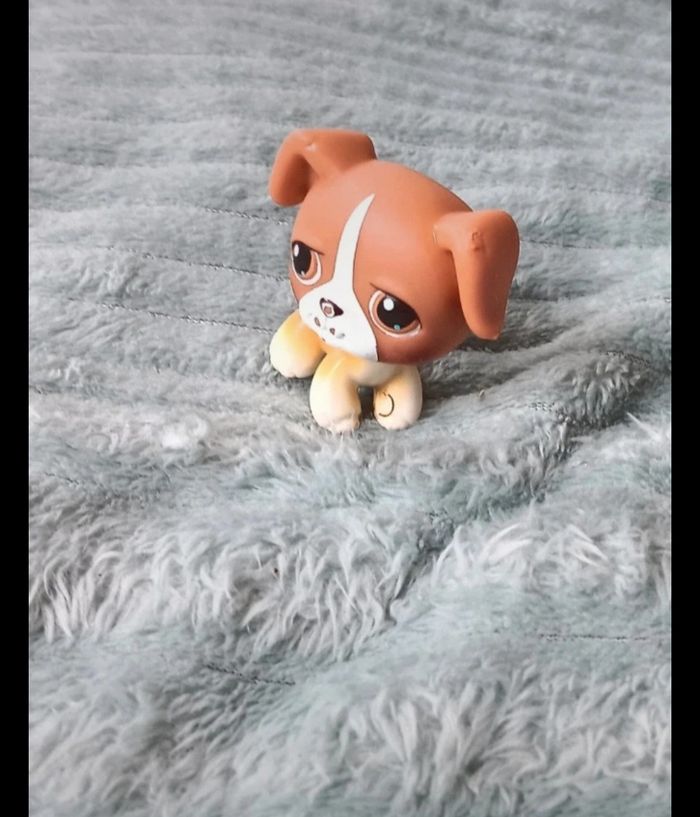 Petshop chien 25