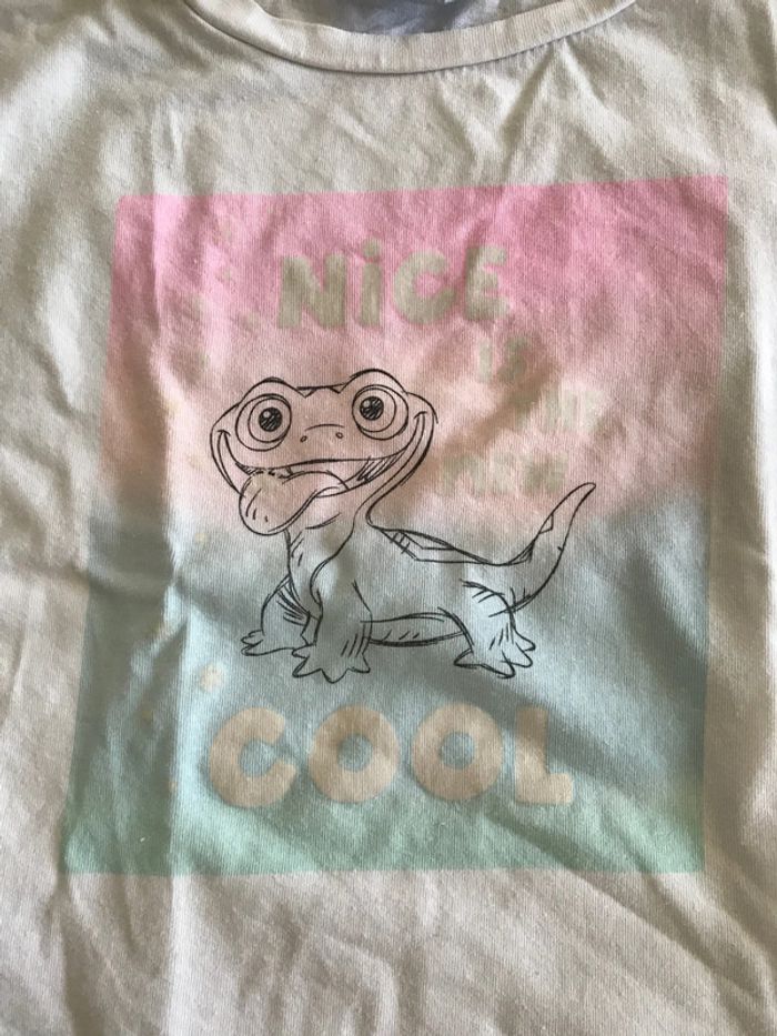 Tee-shirts reine des neige ( feu) - photo numéro 2