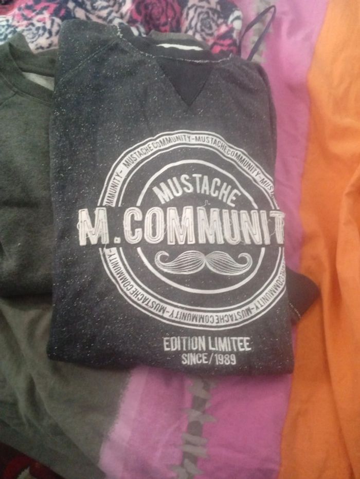 Lot de 2 sweat femme taille L - photo numéro 2