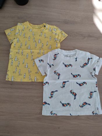 Lot de 2 t-shirt manches courtes