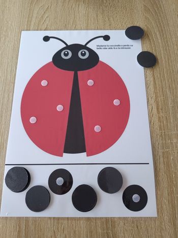 Montessori la coccinelle 🐞