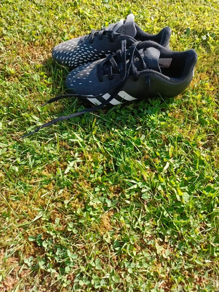 Adidas predator